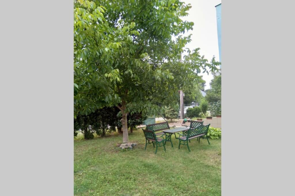 Hannah - Relax Dom Pod Orechom I4 Apartment Travnica